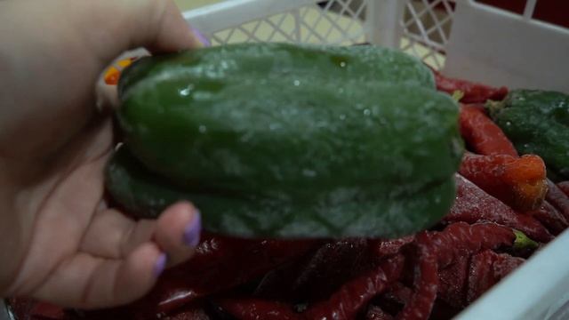 СЕМЕНА ПЕРЦА. Как правильно выбрать сорт. смотреть онлайн