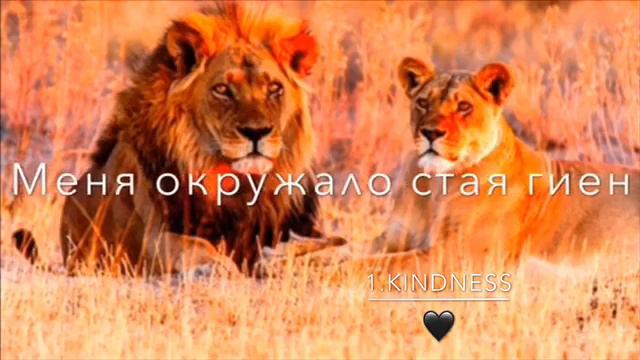 Я царь зверей Я лев и я Очень упрямый🦁🦁🦁 смотреть онлайн