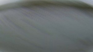 Лукьяновское озеро соленое 27 августа 2016 г