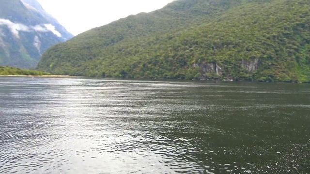 Данидин, Милфорд саунд смотреть онлайн