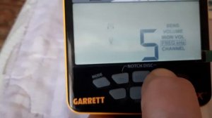 Как искать золото на пляже с Garrett Ace Apex