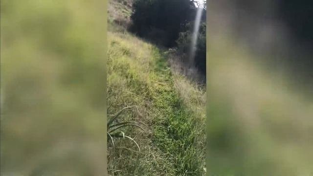 Динамическая медитация. Урок 2
