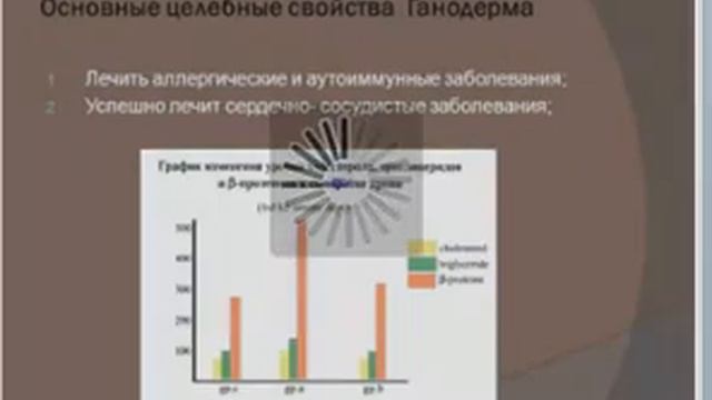 Ганодерма - гриб вечной молодости.