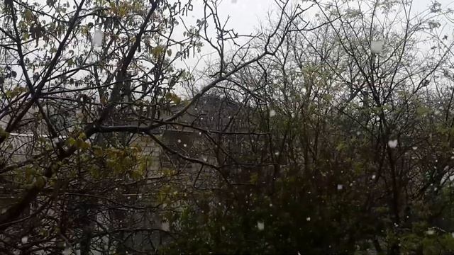 Крым Феодосия снег в апреле деревья цветут снег идет смотреть онлайн