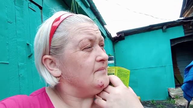 ?Готовлю семенной картофель к посадке? смотреть онлайн