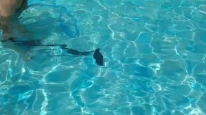 Бассейн своими руками из поддонов после белизны.