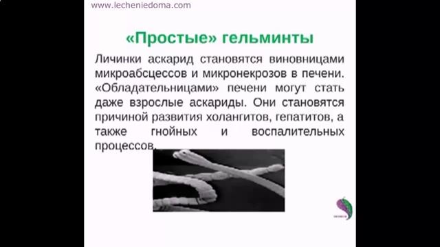 Как быстро вылечить лямблии в домашних условиях. Лечение лямблиоза и описторхоза с Биомедис М