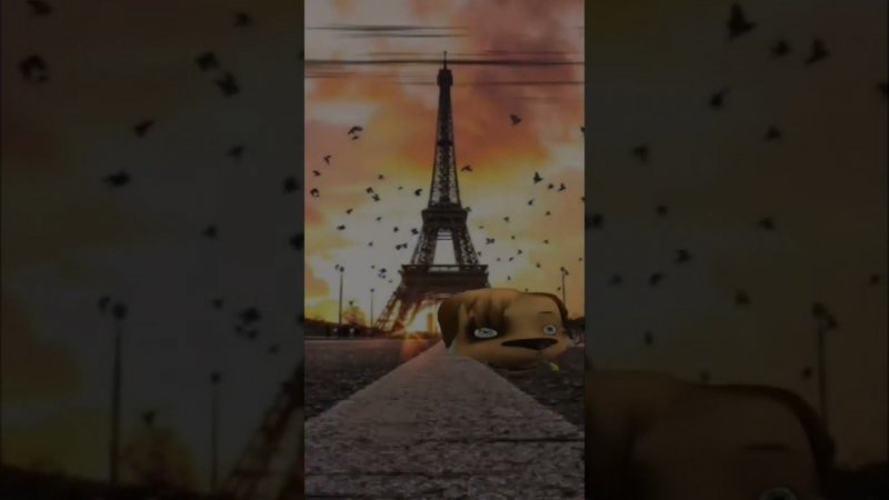 А ты был в Париже? я нет :(