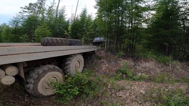 Сахалинский Таймень (Sakhalin Taimen) Часть 1