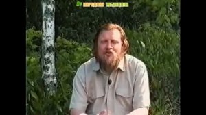 Череда в народной медицине. Применение череды, народные рецепты, лечебные свойства