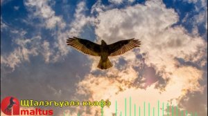 ЩIалэгъуалэ къафэ