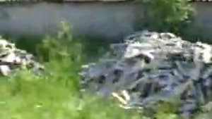 Демьяново Кировской области.mp4