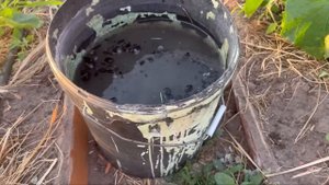 Дрожжевая подкормка для огурцов готовится так. СЕКРЕТНЫЙ ИНГРЕДИЕНТ.