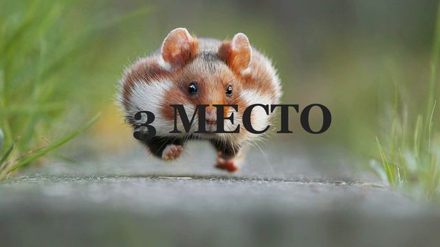 ТОП6 ПЕСЕН БЕЗ АП,ТОПОВЫЕ ПЕСНИ КОТОРЫЕ ИСПОЛЬЗУЮТ ЮТУБЕРЫ