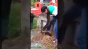 Знамения аллаха змея в могиле ! ИиМ