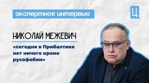 Николай Межевич: «Сегодня в Прибалтике нет ничего кроме русофобии»