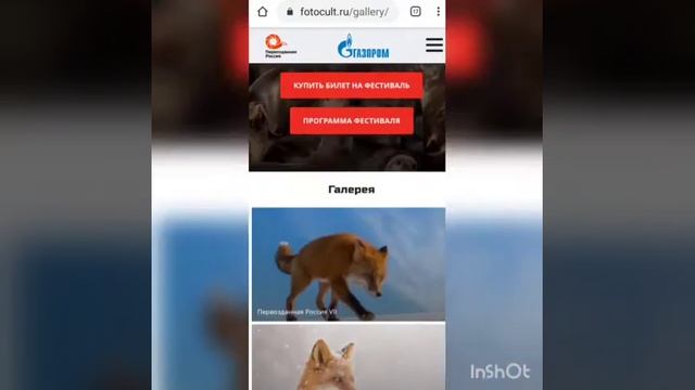 Первозданная Россия в Гостинном дворе смотреть онлайн