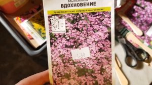 ⭐ПОСЕВ СЕМЯН под ЗИМУ ? мой эксперимент I как выглядят семена из пачек