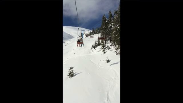 Dragobrat \ Вершина Карпат \ Free ride смотреть онлайн