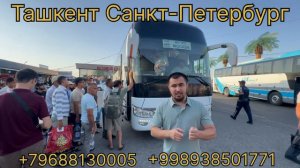 Тошкент Санкт петербург Автобус