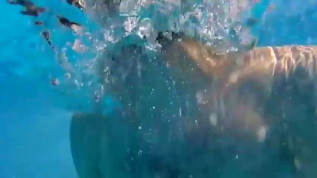 Yalta sea swimming pool! Ялта. Отдыхаем) смотреть онлайн