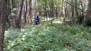BMW R 1100 GS, Mitas E10 , Aprilia Pegaso