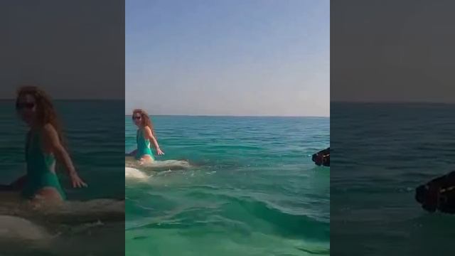 На коне по морю? Развлечения в Египте??? #shorts