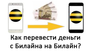 Как перевести деньги с Билайна на Билайн [с телефона на телефон]