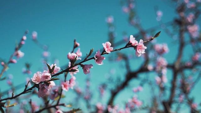 2 мая народный праздник ИВАН ВЕТХОПЕЩЕРНИК. Что нельзя делать. Народные приметы и традиции.