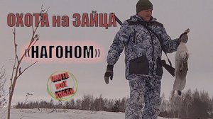 ОХОТА НА ЗАЙЦАКАК БЫТЬ С РЕЗУЛЬТАТОМ.