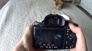 КАК НАСТРОИТЬ ФОТОАППАРАТ?