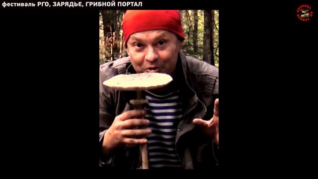 Дверь в ГРИБНОЙ ПОРТАЛ в парке ЗАРЯДЬЕ, фестиваль РГО смотреть онлайн