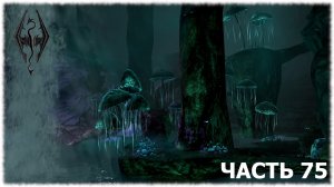 The Elder Scrolls V: Skyrim- Прохождение- Часть #75
