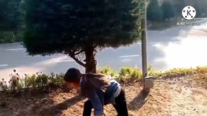 ЗАГАДОЧНЫЙ ПАРК В ДУШАНБЕ