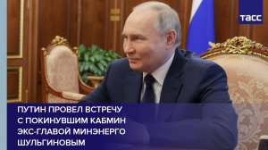 Путин провел встречу с покинувшим кабмин экс-главой Минэнерго Шульгиновым