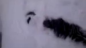 11 февраля в усть камане эпизод 2