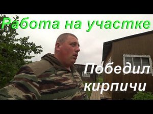 О деревьях на участке/ Вывез мусор/Поездка в Школу/ Уложил кирпич/ Жизнь в деревне