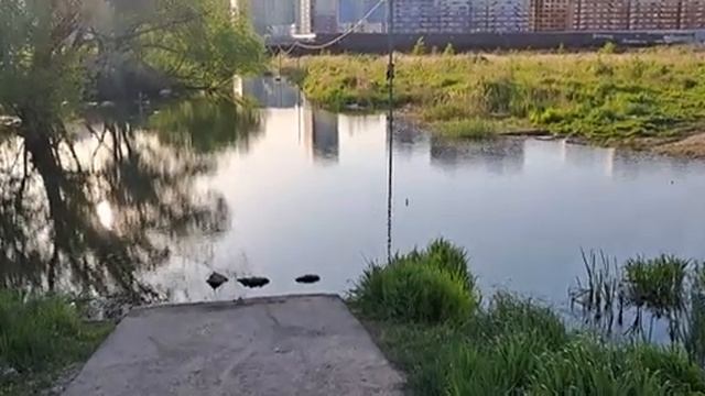 Дорога до метро Некрасовка из ЖК Самолёт, г.о. Люберцы. 17.05.2023г. смотреть онлайн