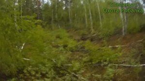 Фотоловушки Медведи Степаныча Поездка к зимовью (2 часть) 01 06 20