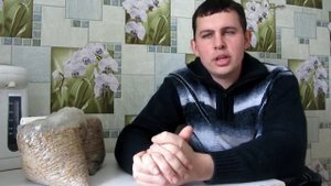 Мицелий на палочках, очередной развод