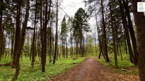 Памятник природы «Нижний парк»
#здравствуйте_явашаООПТ