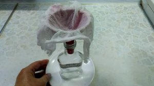 Облепиховое масло готово! Ценнейшее лекарство!