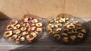 Как сушить яблоки в домашних условиях на солнце и воздухе, или в квартире