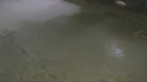 Комплекс для бетонных полов _Простое решение_ (Бетоксил-грунт, краска Бетоксил)