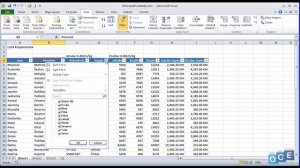 Filtriranje podataka (Excel 2010)