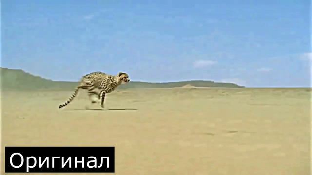 Movavi Видеоредактор.  Деинтерлейсинг/Устранение размытости