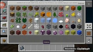 НОВАЯ ВЕРСИЯ MINECRAFT PE 1.5.0.0 | БЕЗ ЛИЦЕНЗИИ | ВАЙС