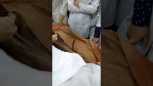 Пояснично-крестцовое сплетение (1)