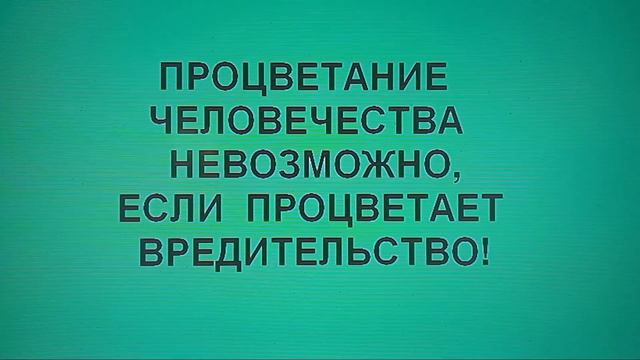 Видео 38 "Мошиах к иудеям не придёт" #грядущийцарь смотреть онлайн