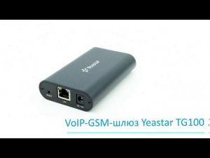 Yeastar TG100 | GSM-шлюз